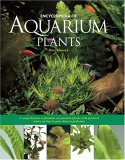 Aquarium Plants Aquarium Plants