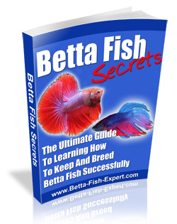Betta Fish Secrets book