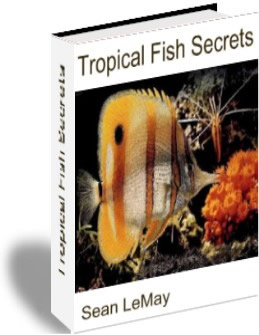 Tropical fish book